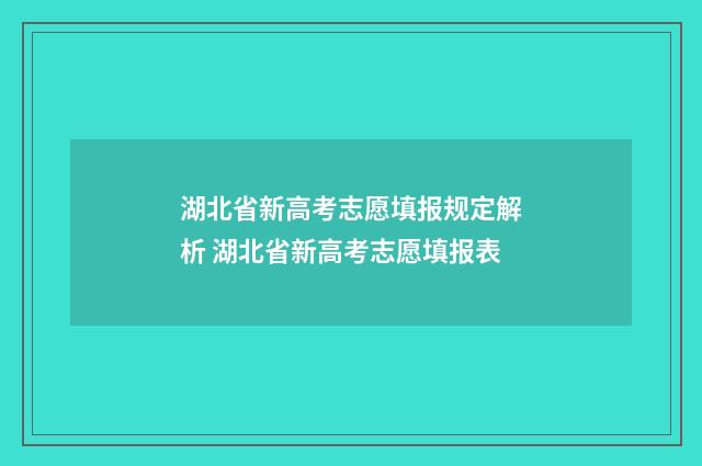 湖北省新高考志愿填报规定解析 湖北省新高考志愿填报表
