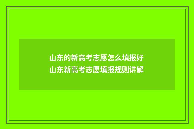 山东的新高考志愿怎么填报好 山东新高考志愿填报规则讲解