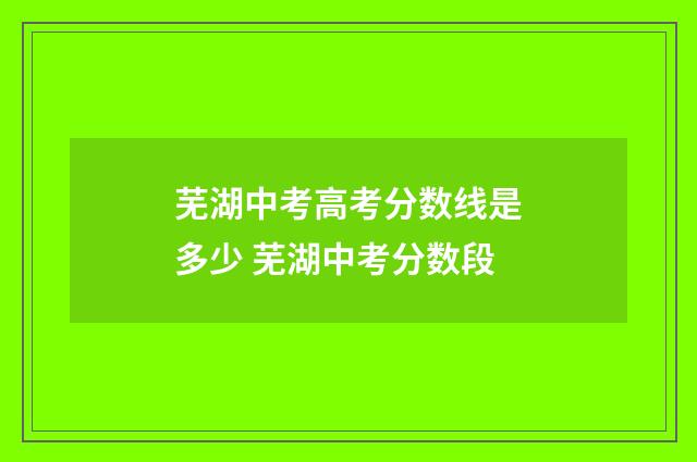 芜湖中考高考分数线是多少 芜湖中考分数段