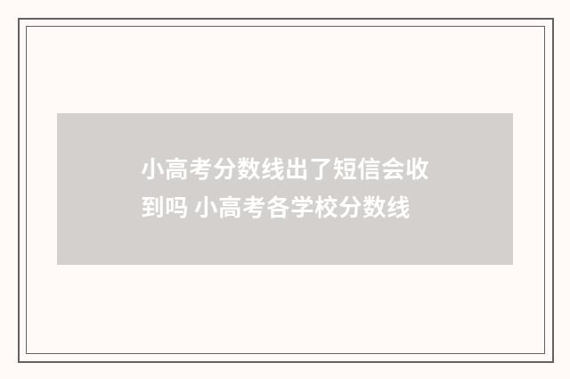 小高考分数线出了短信会收到吗 小高考各学校分数线