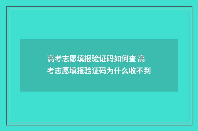 高考志愿填报验证码如何查 高考志愿填报验证码为什么收不到