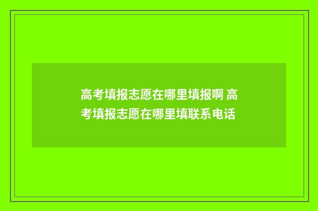 高考填报志愿在哪里填报啊 高考填报志愿在哪里填联系电话