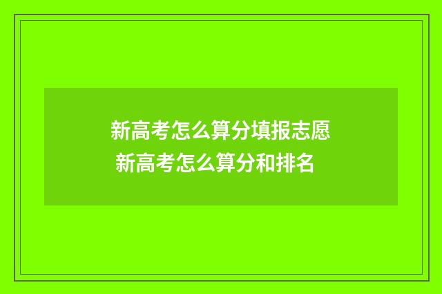 新高考怎么算分填报志愿 新高考怎么算分和排名