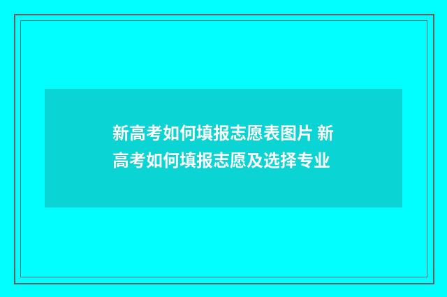 新高考如何填报志愿表图片 新高考如何填报志愿及选择专业