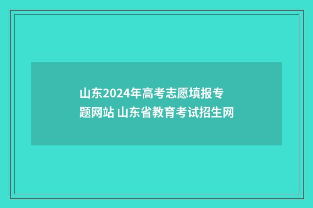 山东2024年高考志愿填报专题网站 山东省教育考试招生网