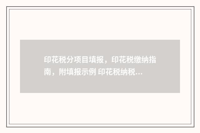 印花税分项目填报，印花税缴纳指南，附填报示例 印花税纳税项目