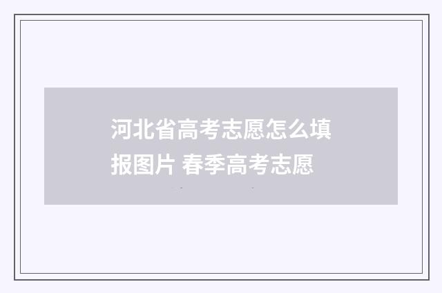 河北省高考志愿怎么填报图片 春季高考志愿