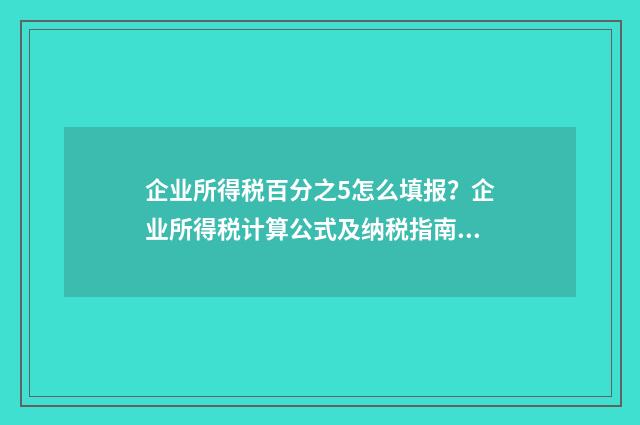 企业所得税百分之5怎么填报？企业所得税计算公式及纳税指南 一般纳税人企业所得税怎么征收