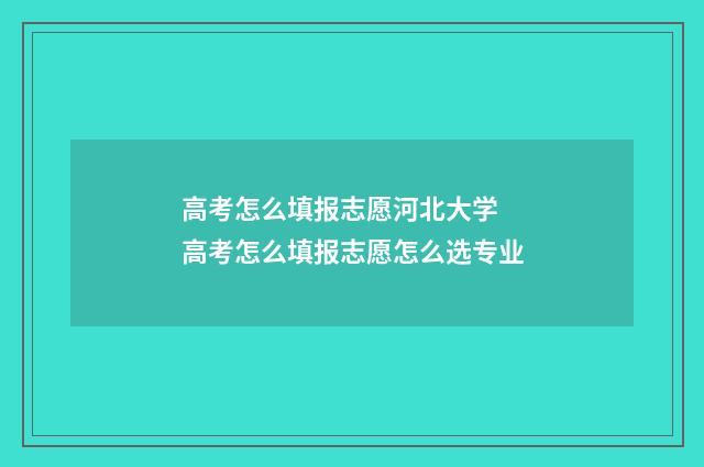 高考怎么填报志愿河北大学 高考怎么填报志愿怎么选专业