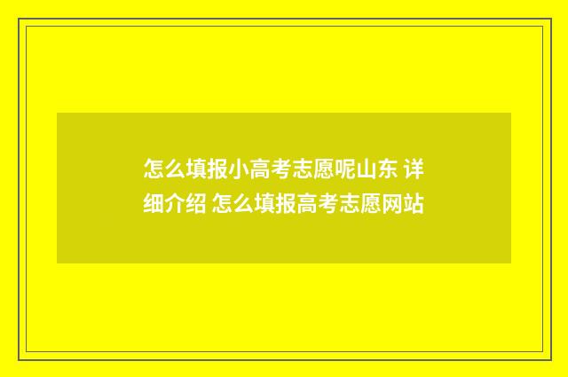 怎么填报小高考志愿呢山东 详细介绍 怎么填报高考志愿网站