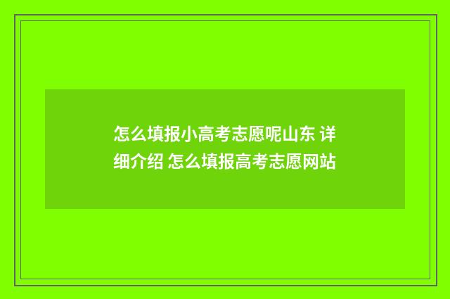 怎么填报小高考志愿呢山东 详细介绍 怎么填报高考志愿网站