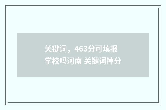 关键词，463分可填报学校吗河南 关键词掉分