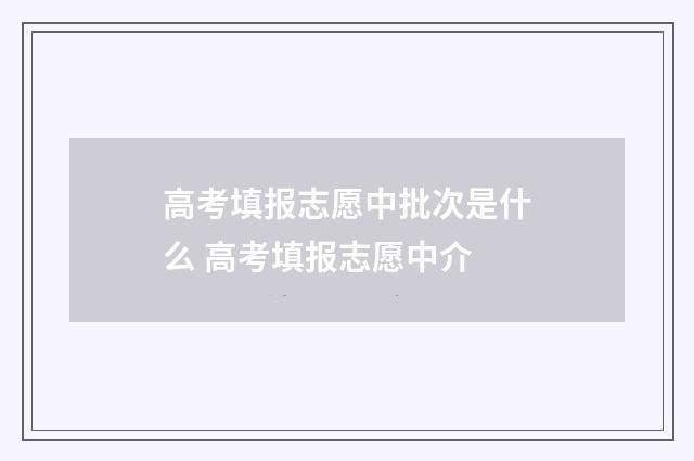高考填报志愿中批次是什么 高考填报志愿中介