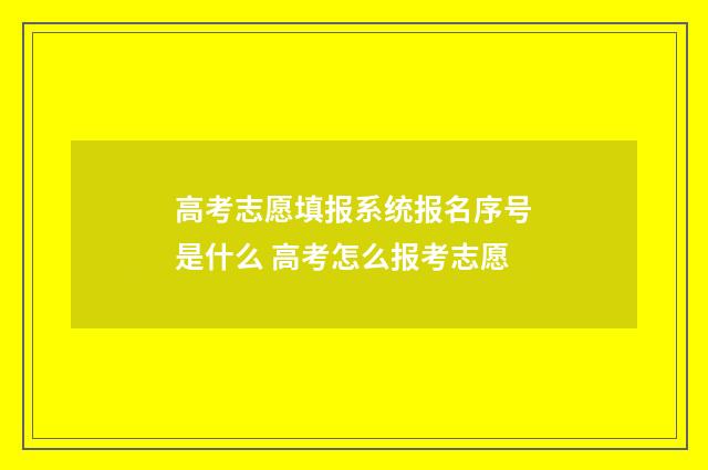 高考志愿填报系统报名序号是什么 高考怎么报考志愿