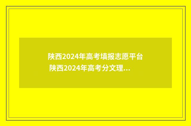 陕西2024年高考填报志愿平台 陕西2024年高考分文理科吗