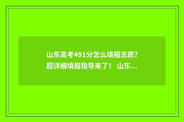山东高考491分怎么填报志愿？超详细填报指导来了！ 山东高考491分怎么算的