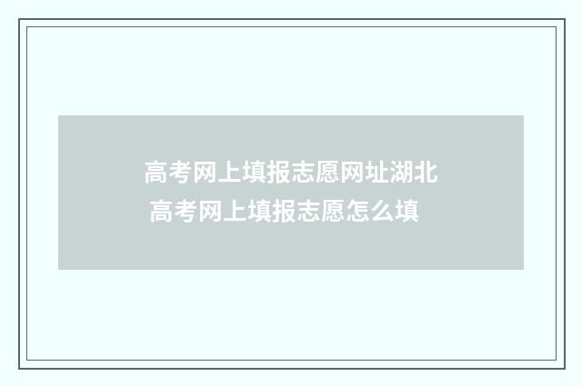 高考网上填报志愿网址湖北 高考网上填报志愿怎么填