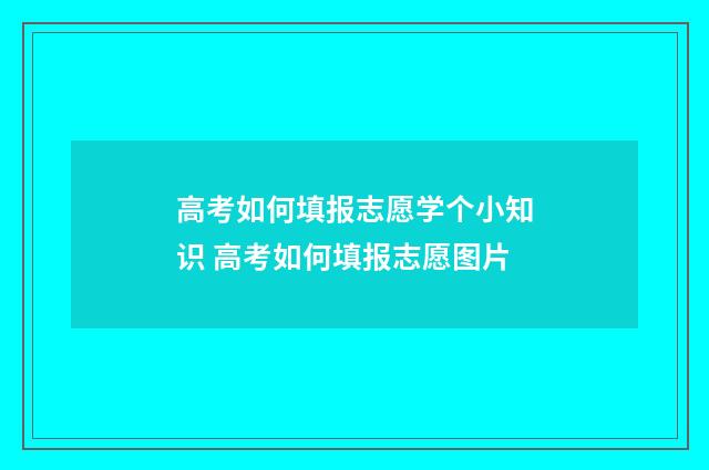 高考如何填报志愿学个小知识 高考如何填报志愿图片