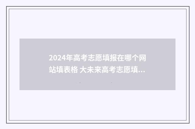 2024年高考志愿填报在哪个网站填表格 大未来高考志愿填报官网
