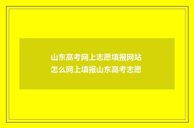 山东高考网上志愿填报网站 怎么网上填报山东高考志愿
