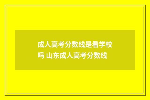 成人高考分数线是看学校吗 山东成人高考分数线