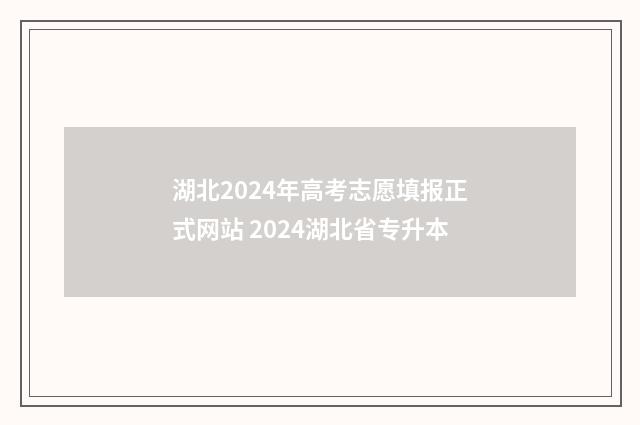 湖北2024年高考志愿填报正式网站 2024湖北省专升本