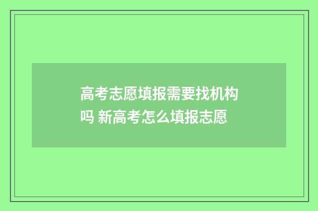 高考志愿填报需要找机构吗 新高考怎么填报志愿