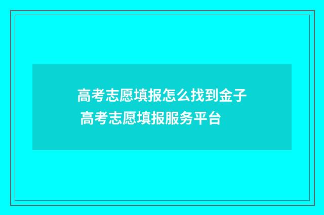 高考志愿填报怎么找到金子 高考志愿填报服务平台