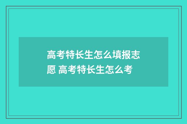 高考特长生怎么填报志愿 高考特长生怎么考