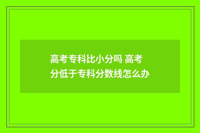 高考专科比小分吗 高考分低于专科分数线怎么办
