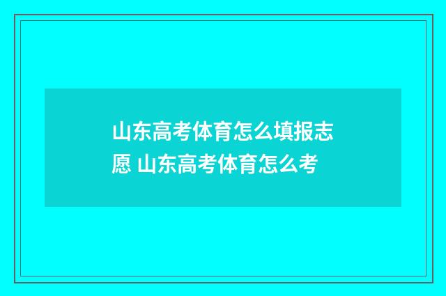 山东高考体育怎么填报志愿 山东高考体育怎么考
