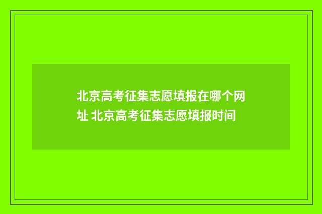北京高考征集志愿填报在哪个网址 北京高考征集志愿填报时间