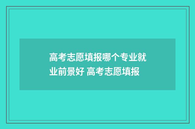 高考志愿填报哪个专业就业前景好 高考志愿填报