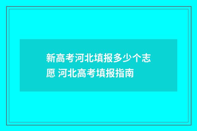 新高考河北填报多少个志愿 河北高考填报指南
