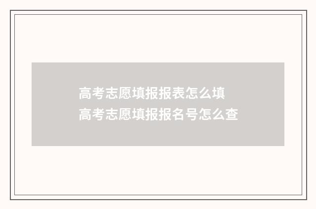 高考志愿填报报表怎么填 高考志愿填报报名号怎么查