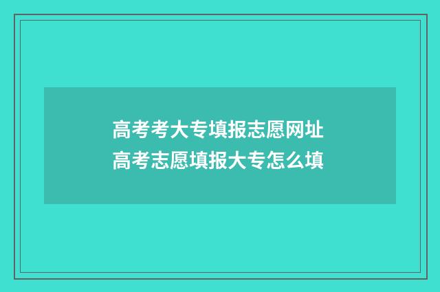 高考考大专填报志愿网址 高考志愿填报大专怎么填
