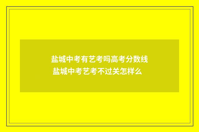 盐城中考有艺考吗高考分数线 盐城中考艺考不过关怎样么