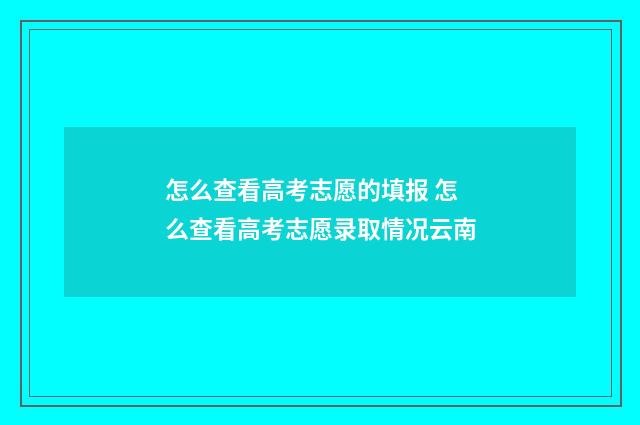 怎么查看高考志愿的填报 怎么查看高考志愿录取情况云南