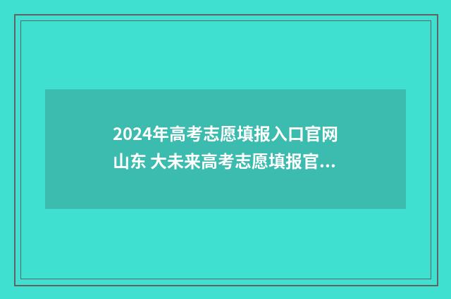 2024年高考志愿填报入口官网山东 大未来高考志愿填报官网