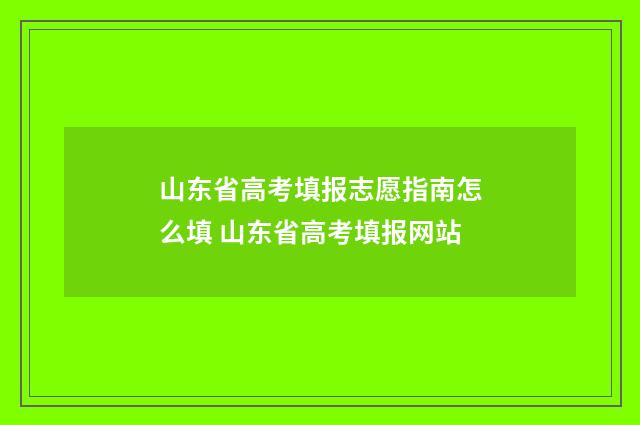 山东省高考填报志愿指南怎么填 山东省高考填报网站