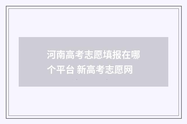 河南高考志愿填报在哪个平台 新高考志愿网