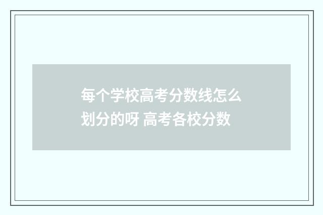 每个学校高考分数线怎么划分的呀 高考各校分数