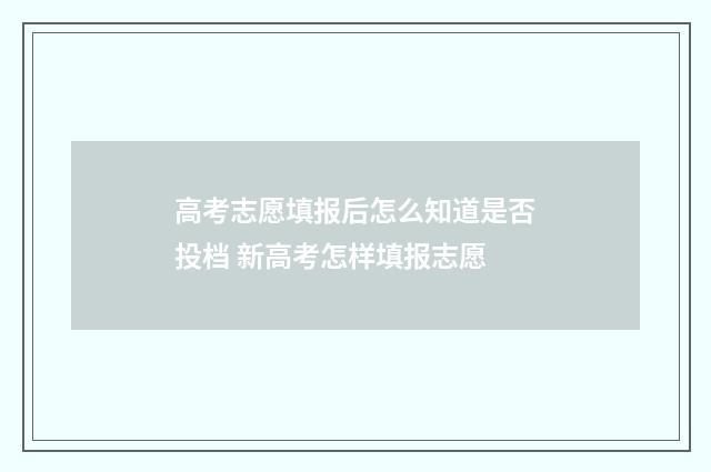 高考志愿填报后怎么知道是否投档 新高考怎样填报志愿