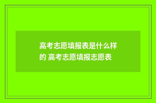 高考志愿填报表是什么样的 高考志愿填报志愿表