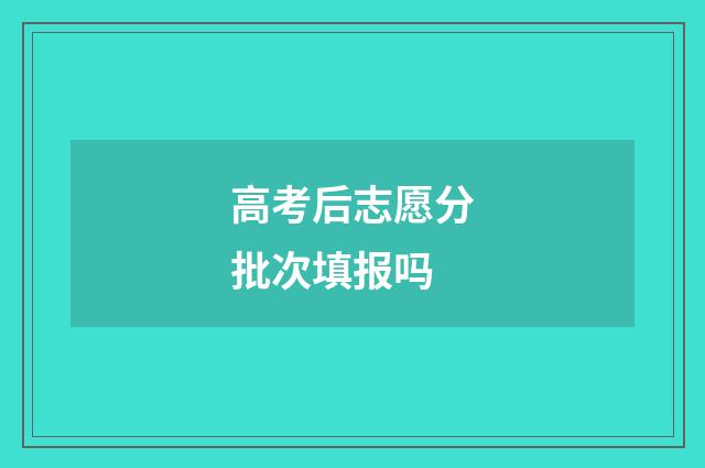 高考后志愿分批次填报吗