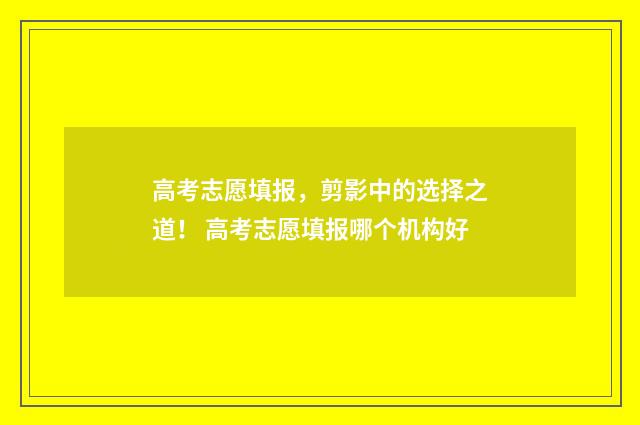 高考志愿填报，剪影中的选择之道！ 高考志愿填报哪个机构好