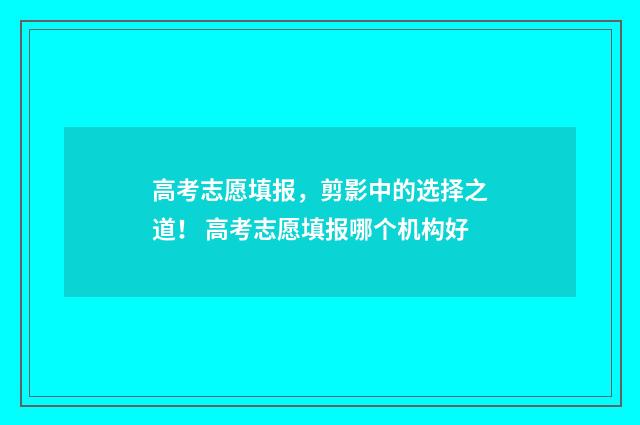 高考志愿填报，剪影中的选择之道！ 高考志愿填报哪个机构好