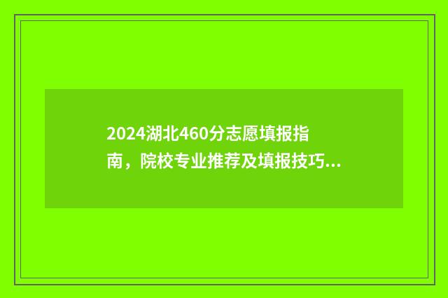 2024湖北460分志愿填报指南，院校专业推荐及填报技巧 湖北470分