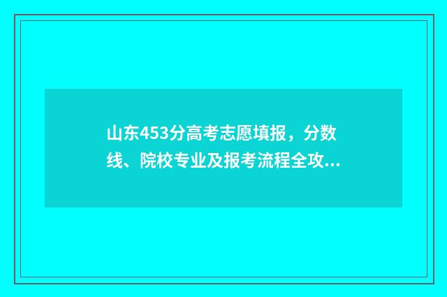 山东453分高考志愿填报，分数线、院校专业及报考流程全攻略 山东高考成绩453分,能填报山东什么大学?