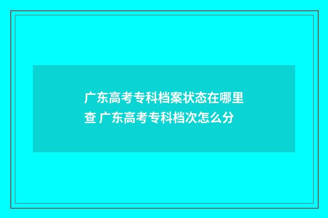 广东高考专科档案状态在哪里查 广东高考专科档次怎么分